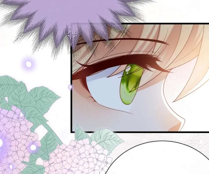 It Is Said That I Am a Fairy Princess Chapter 43 page 65
