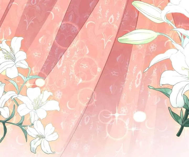 It Is Said That I Am a Fairy Princess Chapter 44 page 63