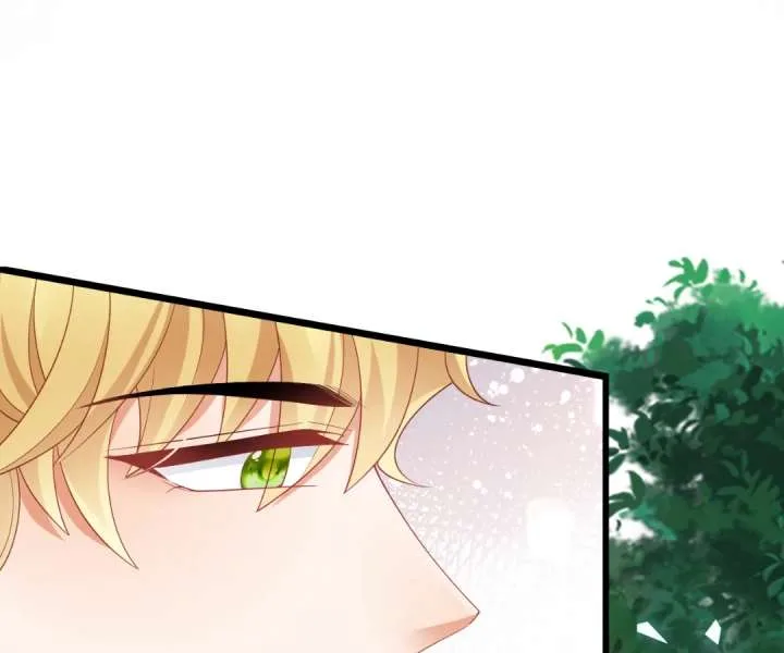 It Is Said That I Am a Fairy Princess Chapter 44 page 74