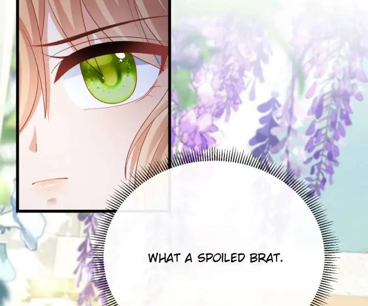 It Is Said That I Am a Fairy Princess Chapter 45 page 27
