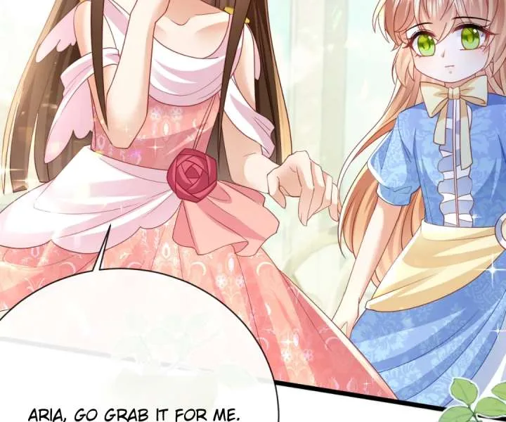 It Is Said That I Am a Fairy Princess Chapter 45 page 19