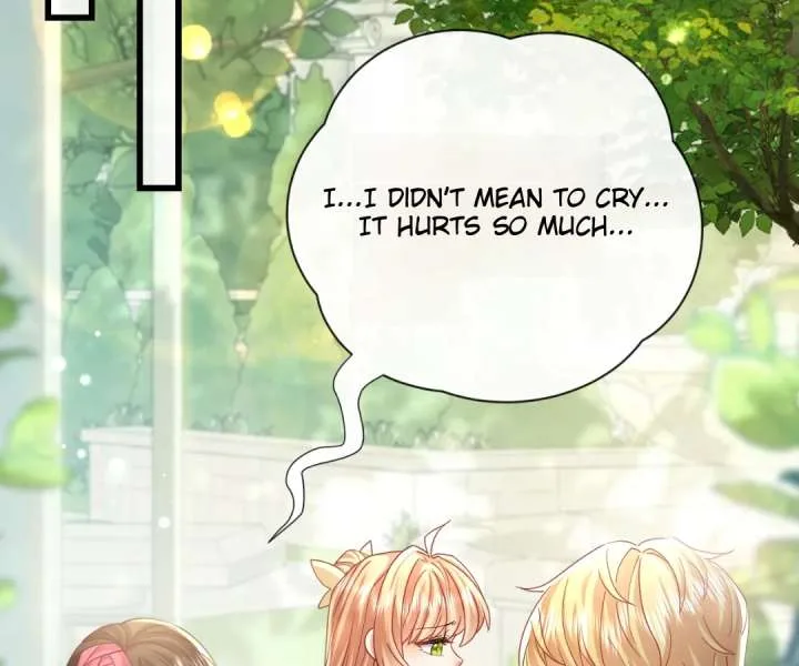 It Is Said That I Am a Fairy Princess Chapter 45 page 3