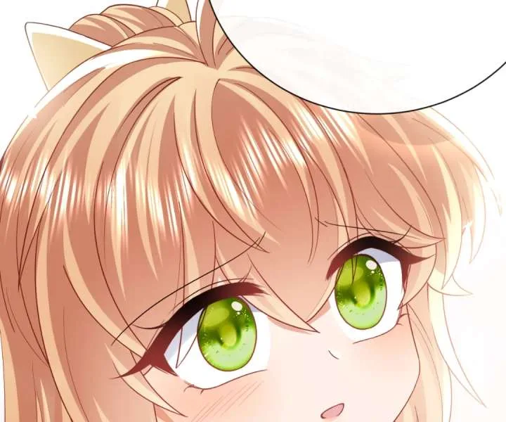It Is Said That I Am a Fairy Princess Chapter 45 page 77