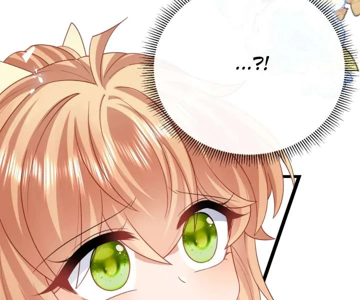 It Is Said That I Am a Fairy Princess Chapter 45 page 67