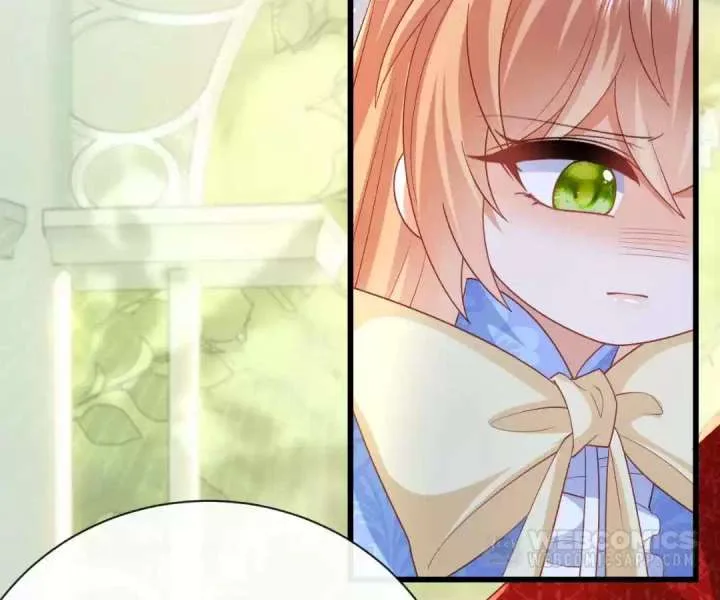 It Is Said That I Am a Fairy Princess Chapter 45 page 60