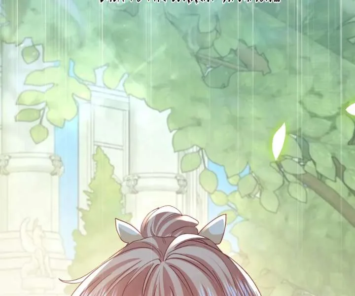 It Is Said That I Am a Fairy Princess Chapter 45 page 42