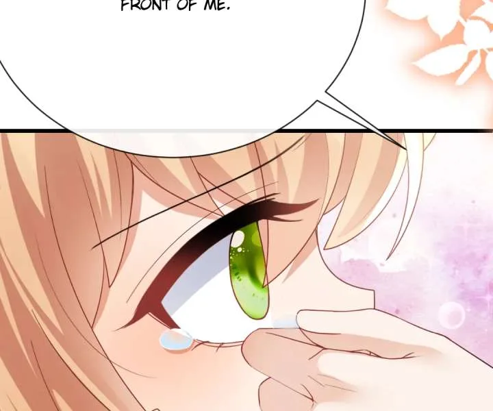 It Is Said That I Am a Fairy Princess Chapter 45 page 88