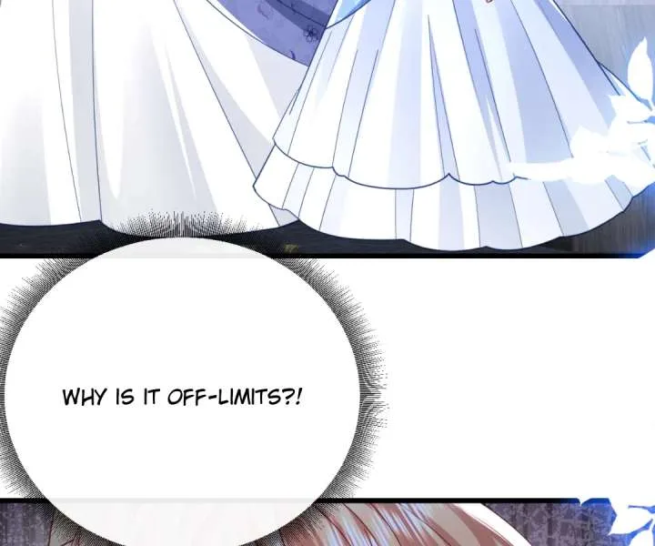 It Is Said That I Am a Fairy Princess Chapter 46 page 56