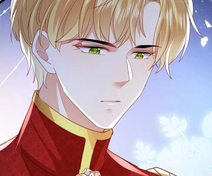 It Is Said That I Am a Fairy Princess Chapter 48 page 63