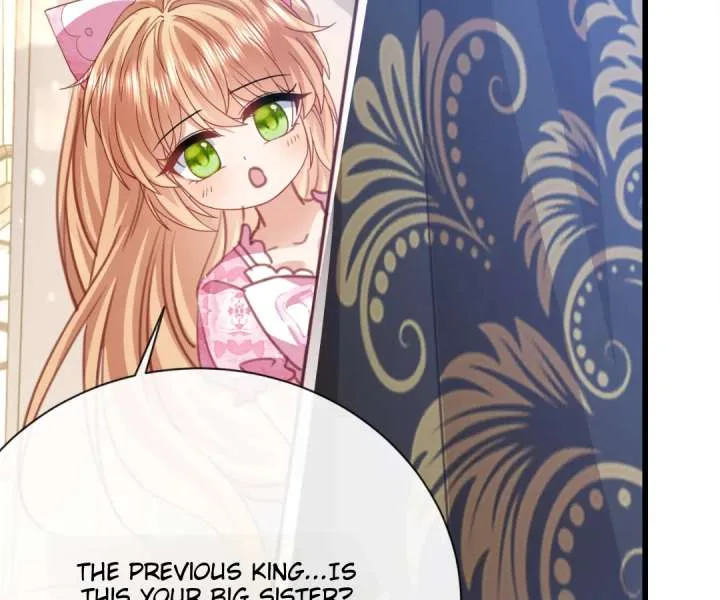 It Is Said That I Am a Fairy Princess Chapter 48 page 55