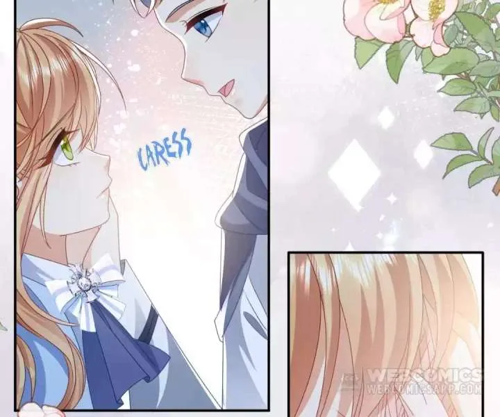 It Is Said That I Am a Fairy Princess Chapter 54 page 68