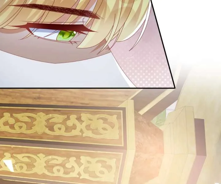 It Is Said That I Am a Fairy Princess Chapter 56 page 13