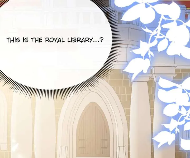 It Is Said That I Am a Fairy Princess Chapter 56 page 47