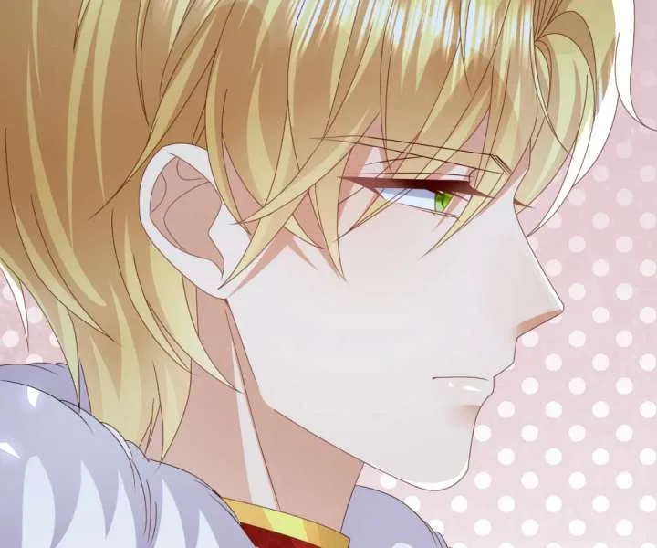 It Is Said That I Am a Fairy Princess Chapter 56 page 65
