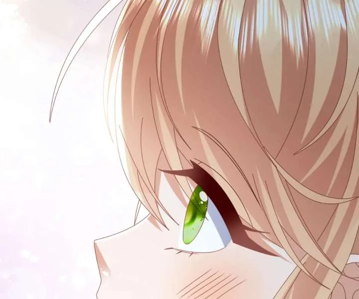 It Is Said That I Am a Fairy Princess Chapter 56 page 82