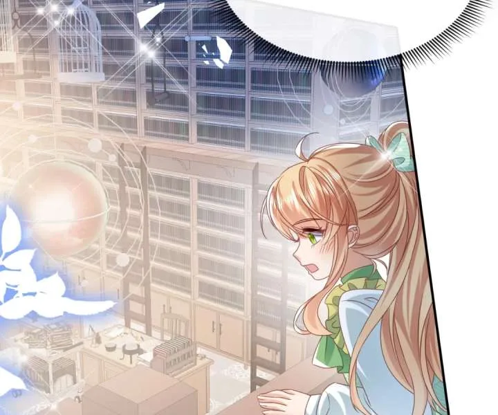 It Is Said That I Am a Fairy Princess Chapter 56 page 49