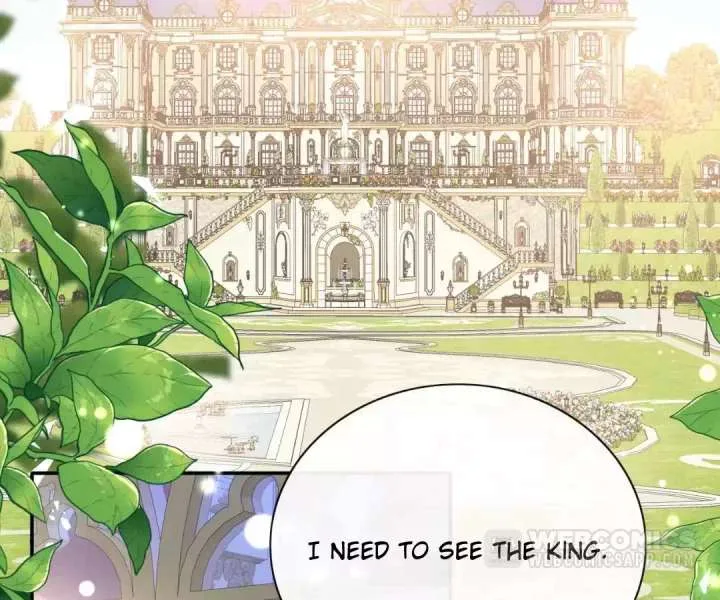 It Is Said That I Am a Fairy Princess Chapter 59 page 4