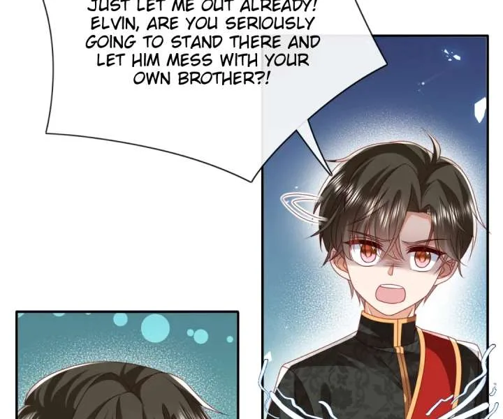 It Is Said That I Am a Fairy Princess Chapter 58 page 17
