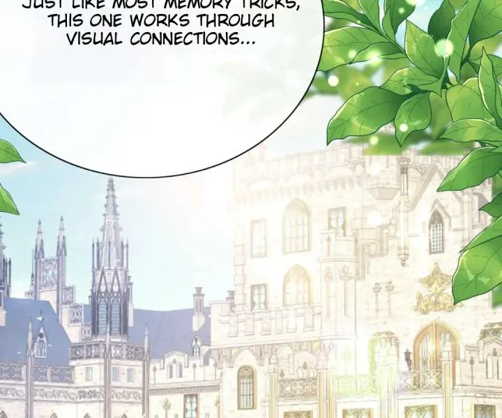 It Is Said That I Am a Fairy Princess Chapter 61 page 3