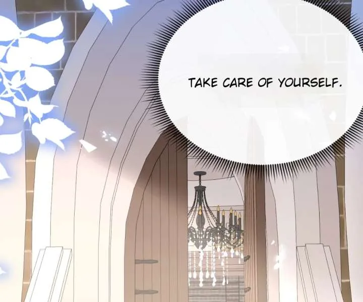 It Is Said That I Am a Fairy Princess Chapter 62 page 17