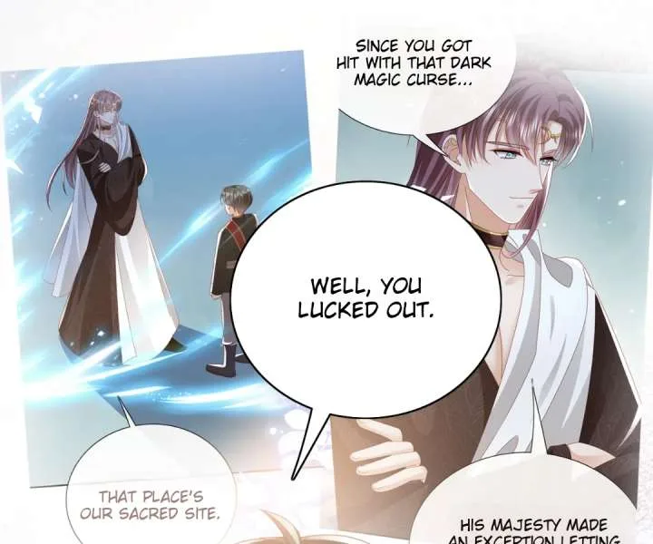 It Is Said That I Am a Fairy Princess Chapter 62 page 65