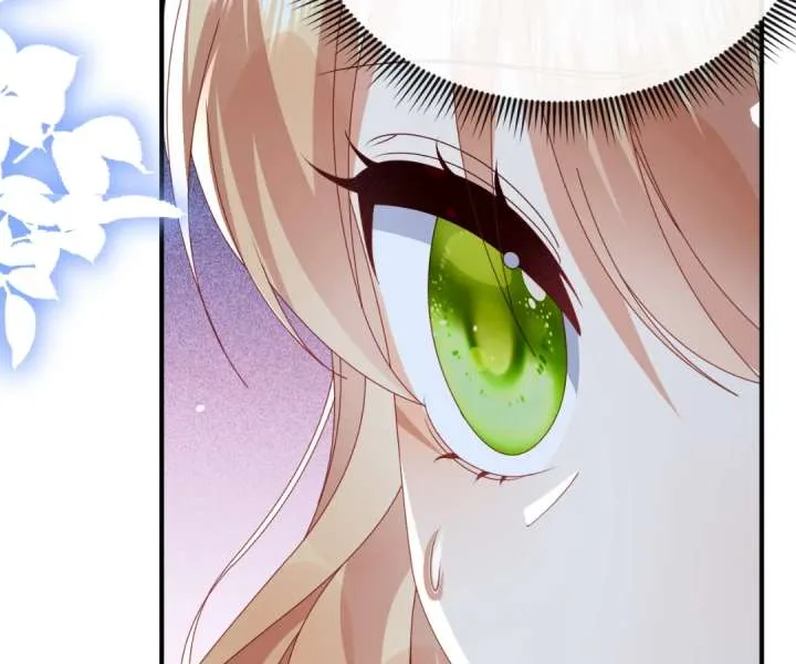It Is Said That I Am a Fairy Princess Chapter 64 page 29