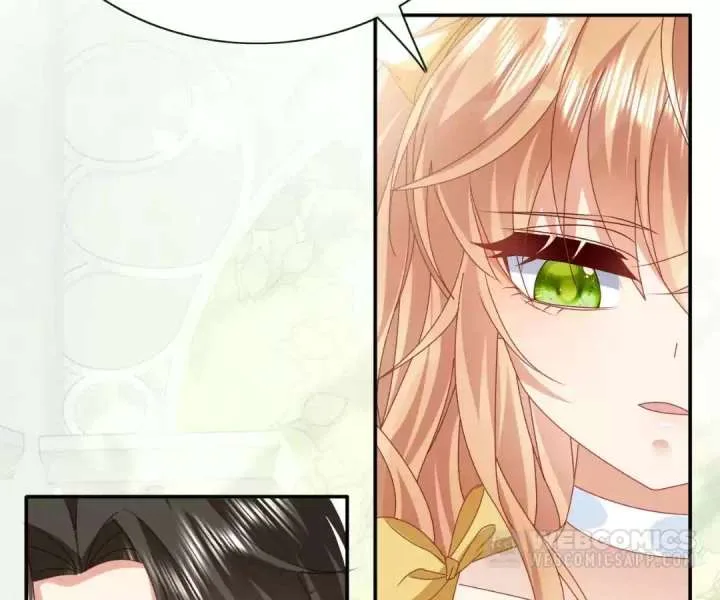 It Is Said That I Am a Fairy Princess Chapter 62 page 60