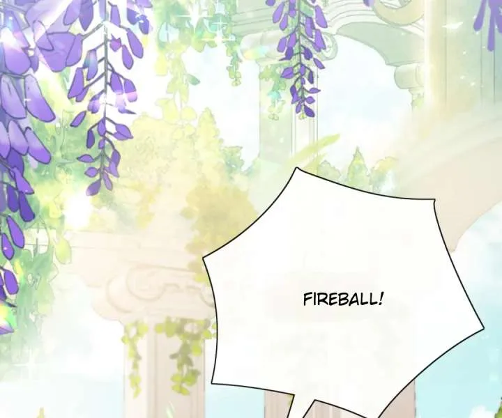 It Is Said That I Am a Fairy Princess Chapter 65 page 3