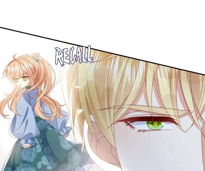 It Is Said That I Am a Fairy Princess Chapter 65 page 23