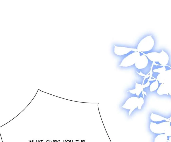 It Is Said That I Am a Fairy Princess Chapter 66 page 2