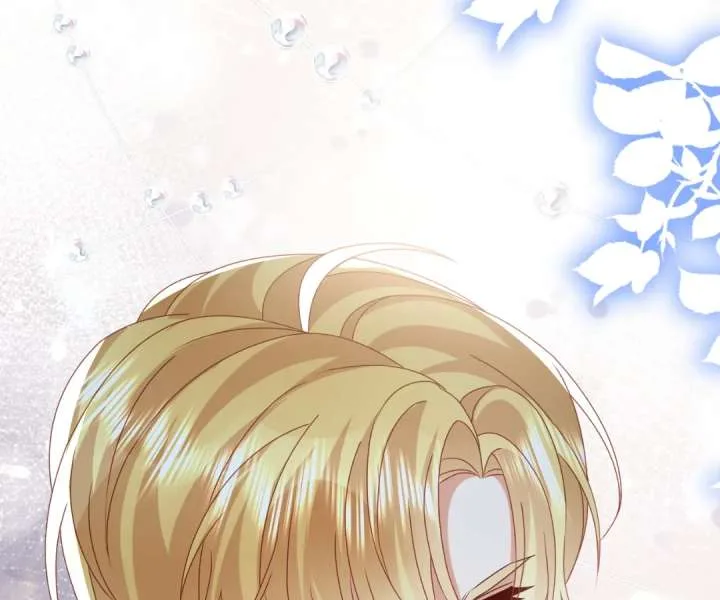 It Is Said That I Am a Fairy Princess Chapter 63 page 104