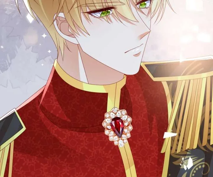 It Is Said That I Am a Fairy Princess Chapter 63 page 105