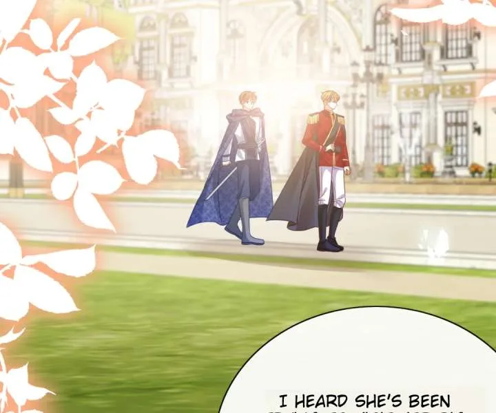 It Is Said That I Am a Fairy Princess Chapter 63 page 98
