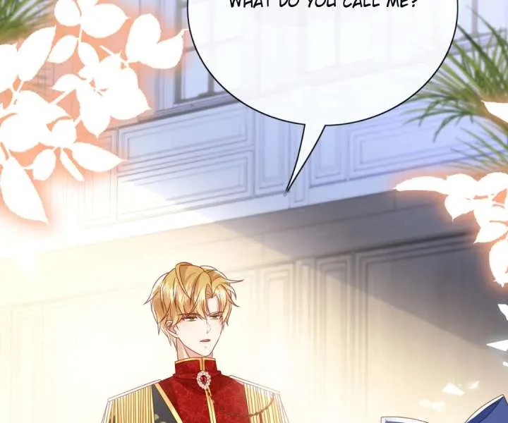 It Is Said That I Am a Fairy Princess Chapter 66 page 56