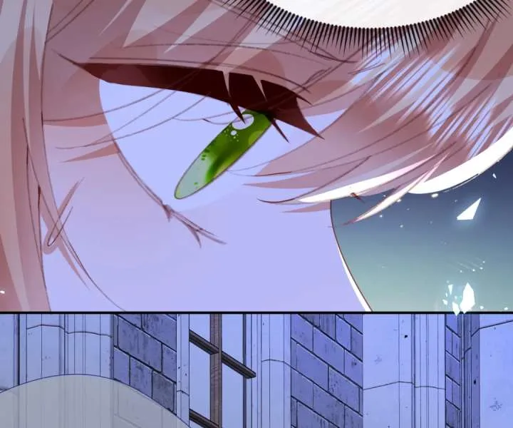 It Is Said That I Am a Fairy Princess Chapter 70 page 41