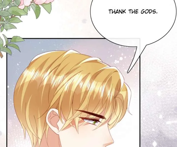 It Is Said That I Am a Fairy Princess Chapter 70 page 91