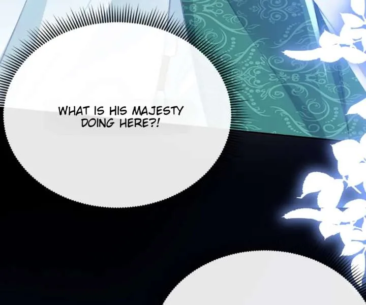 It Is Said That I Am a Fairy Princess Chapter 70 page 66