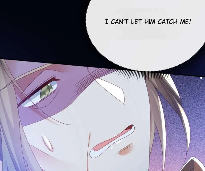 It Is Said That I Am a Fairy Princess Chapter 70 page 67