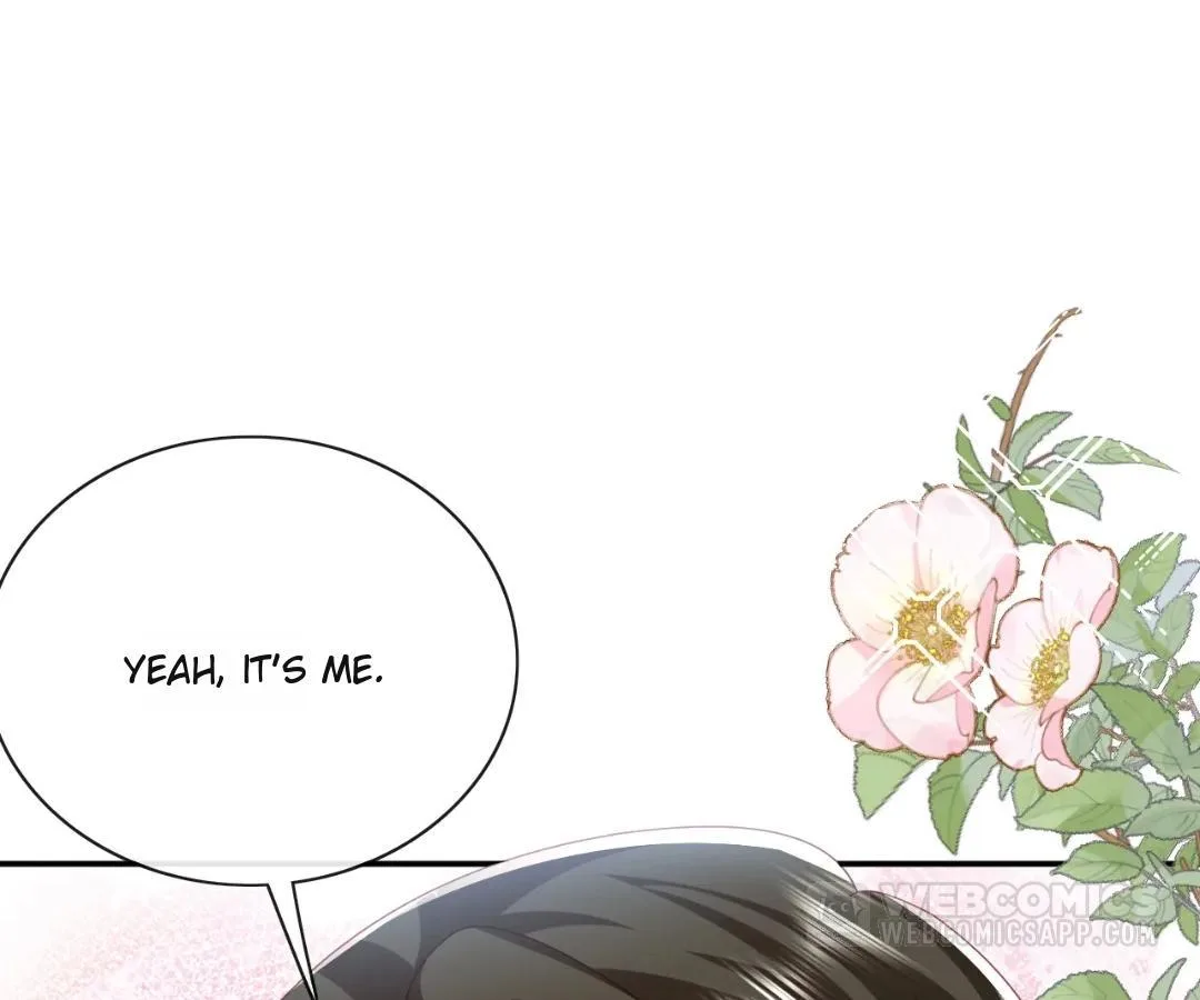 It Is Said That I Am a Fairy Princess Chapter 71 page 68