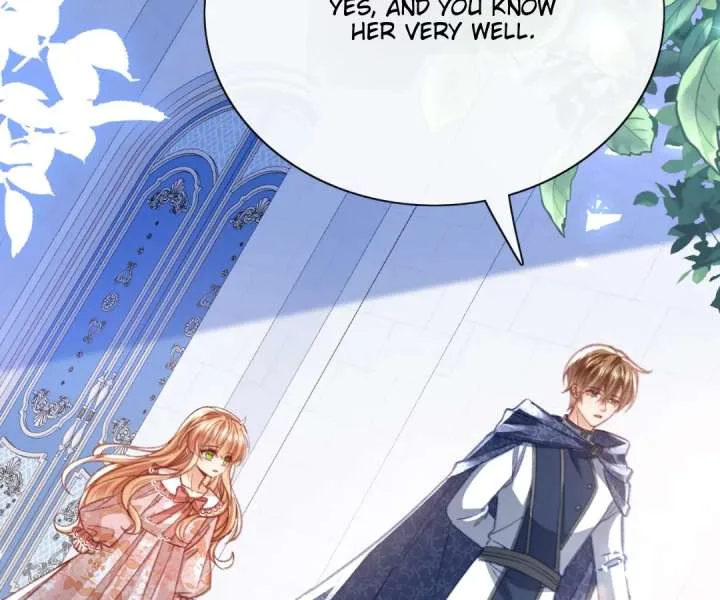 It Is Said That I Am a Fairy Princess Chapter 72 page 62