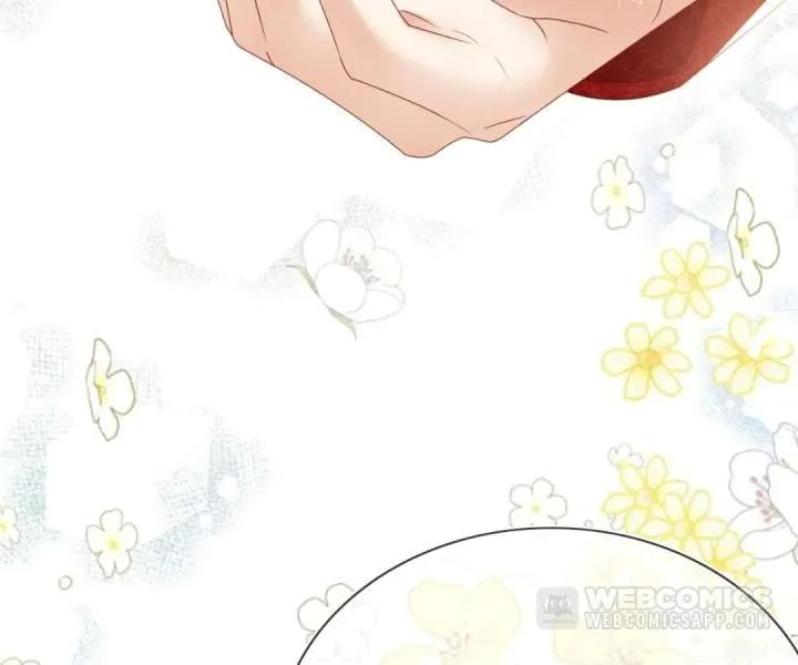 It Is Said That I Am a Fairy Princess Chapter 73 page 36