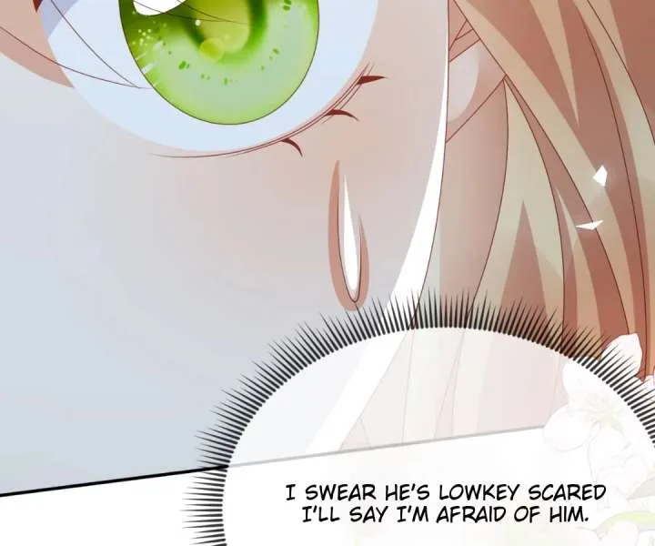 It Is Said That I Am a Fairy Princess Chapter 74 page 38
