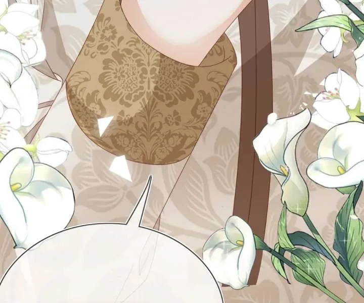 It Is Said That I Am a Fairy Princess Chapter 74 page 98