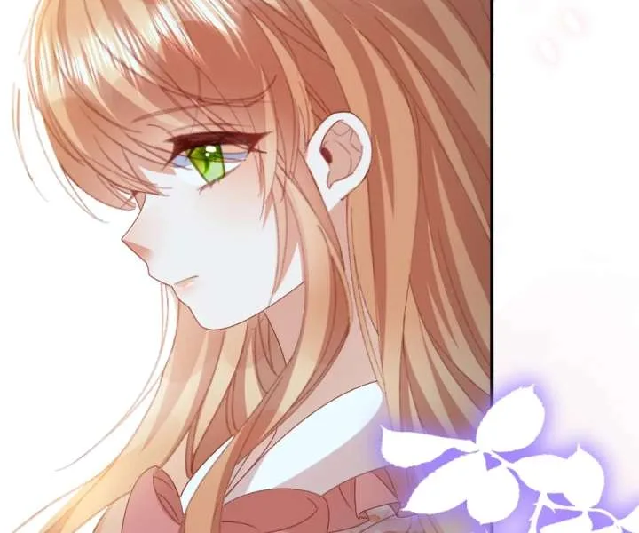 It Is Said That I Am a Fairy Princess Chapter 76 page 62
