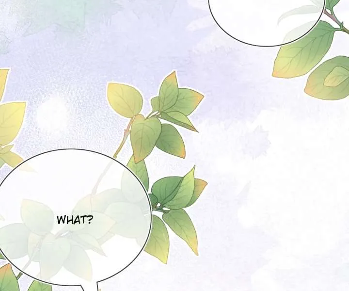 It Is Said That I Am a Fairy Princess Chapter 74 page 22