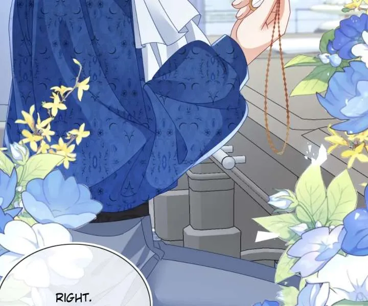 It Is Said That I Am a Fairy Princess Chapter 74 page 68