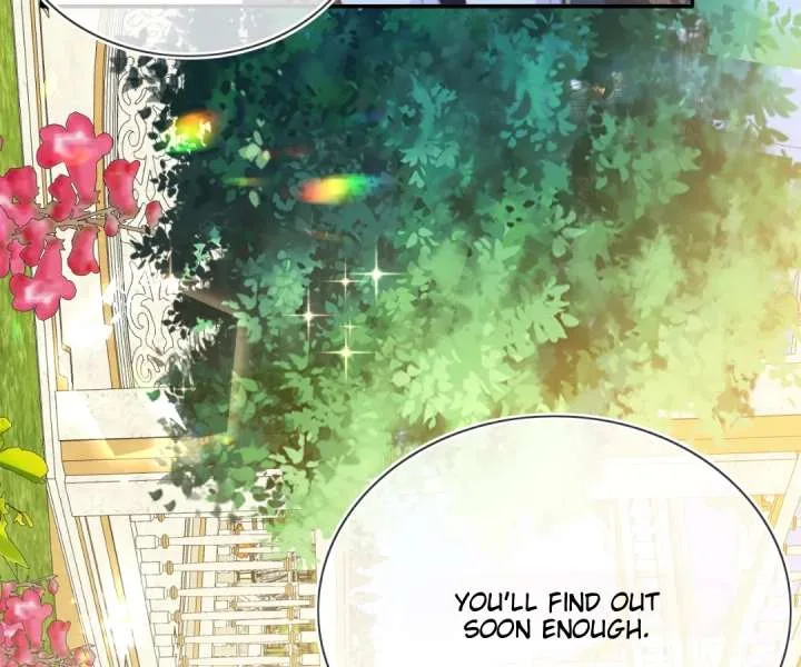 It Is Said That I Am a Fairy Princess Chapter 75 page 54