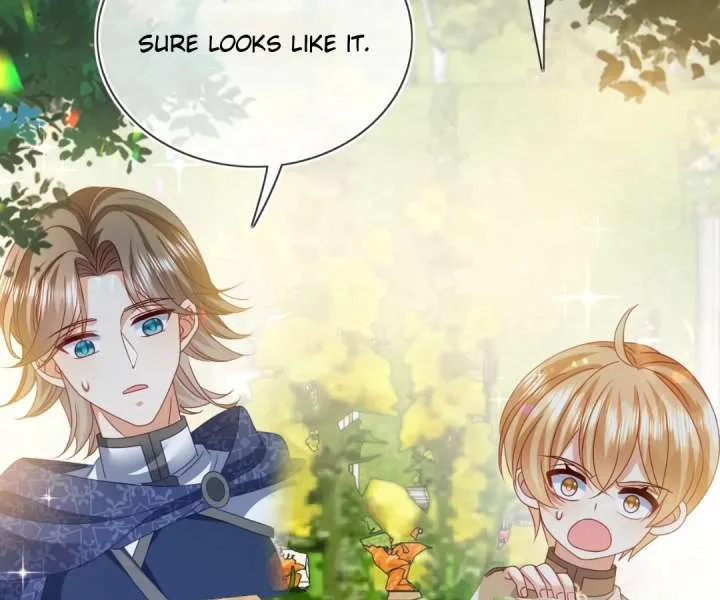 It Is Said That I Am a Fairy Princess Chapter 75 page 33