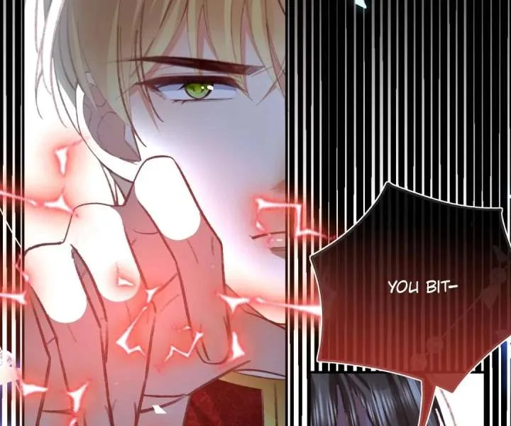 It Is Said That I Am a Fairy Princess Chapter 73 page 66