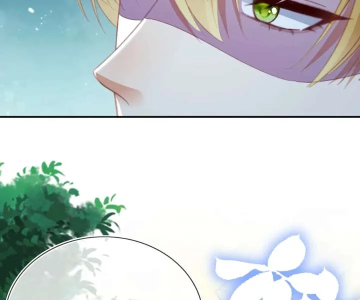 It Is Said That I Am a Fairy Princess Chapter 75 page 47